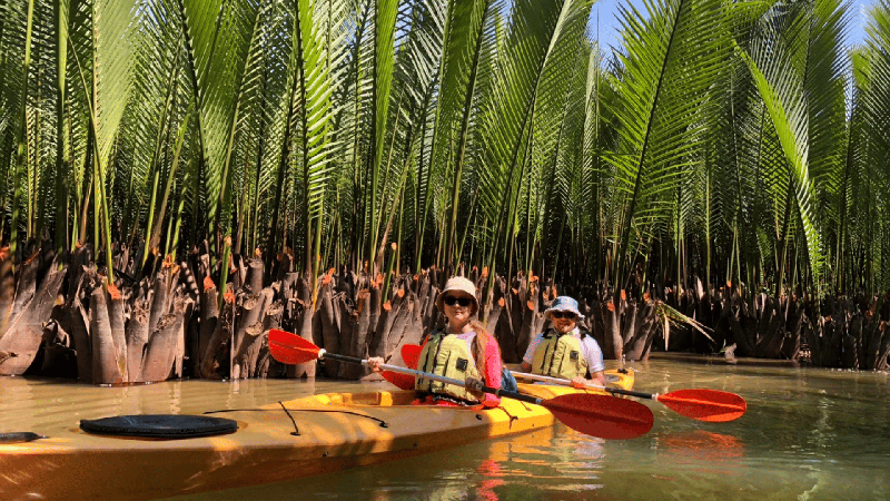 Rowing SUP/KAYAK from the ancient town to the mangrove forest (1)